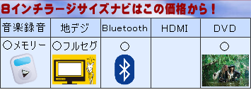 お買い得の最新型デカナビ！