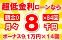 170万円未使用車のお支払い例