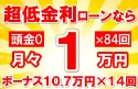 204万円未使用車のお支払い例