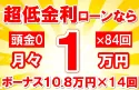 205万円未使用車のお支払い例