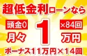 207万円未使用車のお支払い例