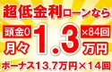 262万円未使用車のお支払い例