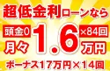 324万円未使用車のお支払い例