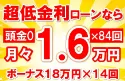 336万円未使用車のお支払い例