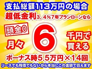 113万円未使用車のお支払い例