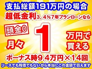 191万円未使用車のお支払い例