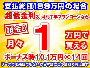 199万円未使用車のお支払い例