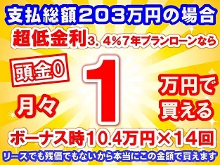 203万円未使用車のお支払い例