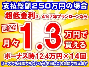 250万円未使用車のお支払い例