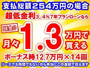 254万円未使用車のお支払い例