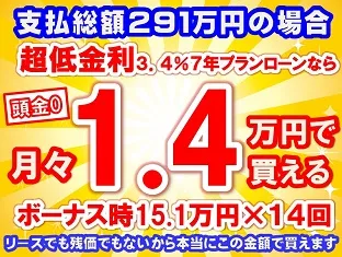 291万円未使用車のお支払い例