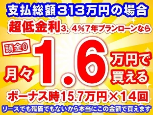 313万円未使用車のお支払い例