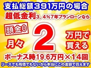 391万円未使用車のお支払い例