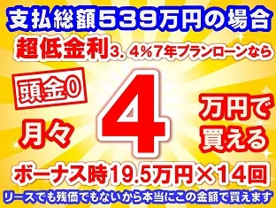 539万円未使用車のお支払い例