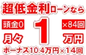203万円未使用車のお支払い例