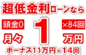 210万円未使用車のお支払い例