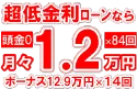 249万円未使用車のお支払い例