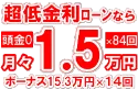 301万円未使用車のお支払い例
