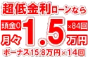 307万円未使用車のお支払い例