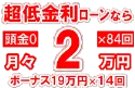 384万円未使用車のお支払い例
