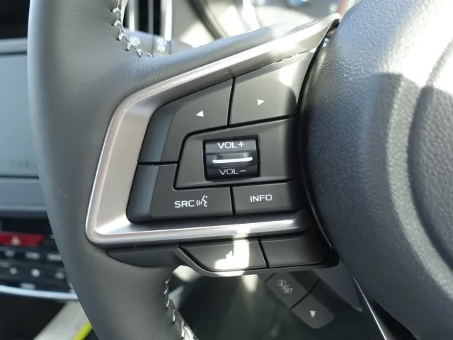 フォレスター(スバル)アドバンス アイサイトセイフティプラス ルーフレール登録済未使用車 17