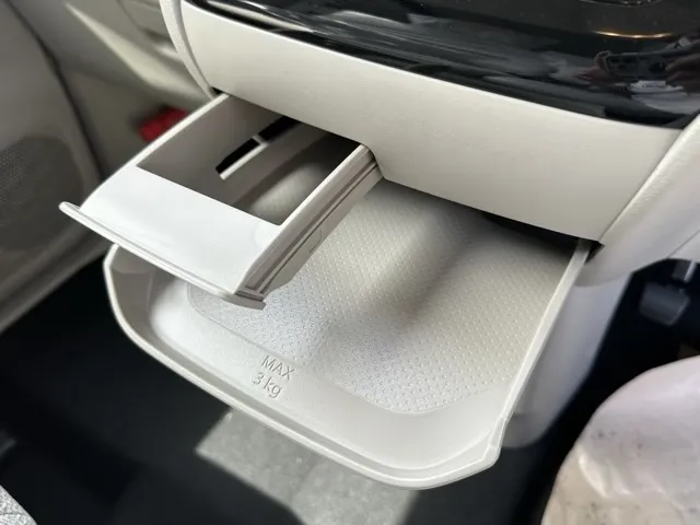 ルークス(ニッサン)X新車見本展示有 21