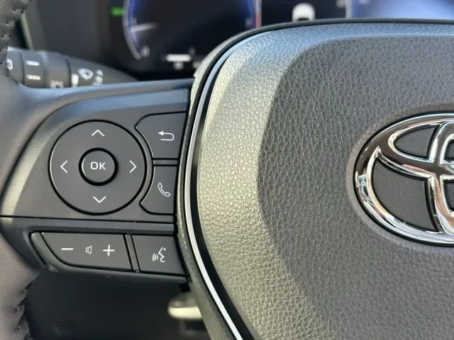 ＲＡＶ４(トヨタ)アドベンチャーオフロードＰＫＧⅡ登録済未使用車 12