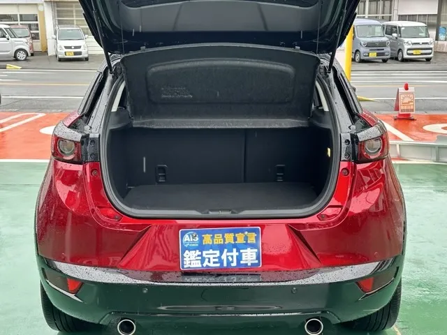 CX-3(マツダ)15S スーパーエッジー中古車 13