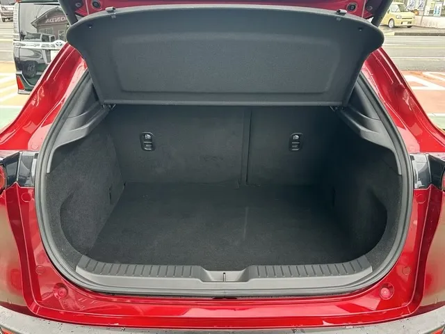 CX-30(マツダ)20S プロアクティブ中古車 12
