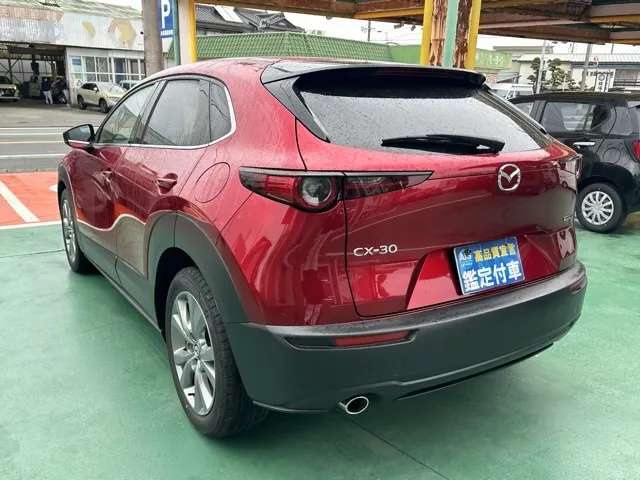 CX-30(マツダ)20S プロアクティブ中古車 2