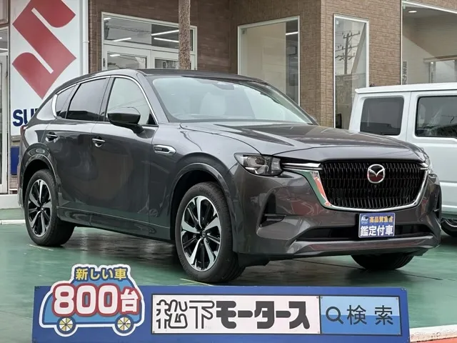 DT 3500様 マダラ 車種別メタルキャタライザー：フェアレディZ