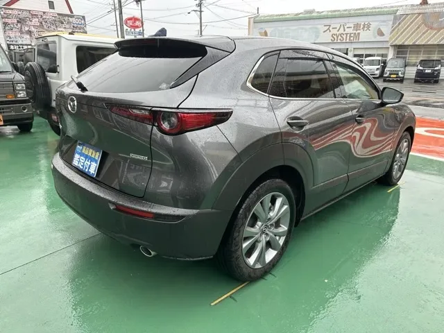 CX-30(マツダ)XD  プロアクティブ中古車 12