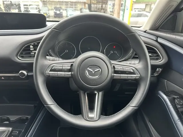 CX-30(マツダ)XD  プロアクティブ中古車 7