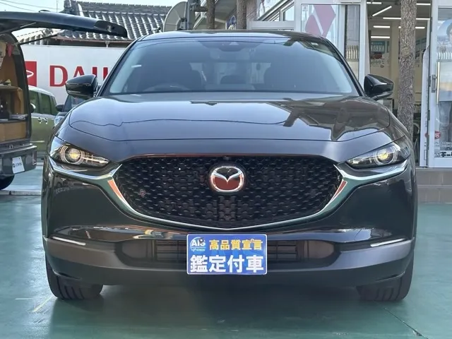 CX-30(マツダ)XD ブラックトーンエディション中古車 25