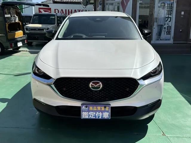 CX-30(マツダ)XD ブラックトーンエディション登録済未使用車 15