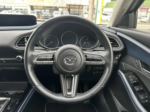 CX-30(マツダ)20S プロアクティブ ツーリングセレクション 4WD中古車 6