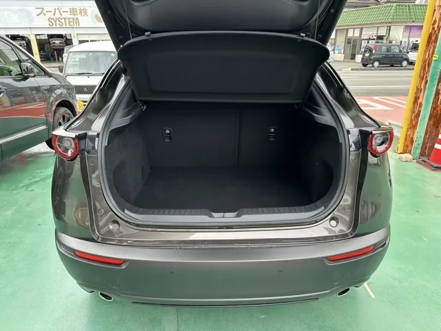 CX-30(マツダ)20S プロアクティブ ツーリングセレクション中古車 9
