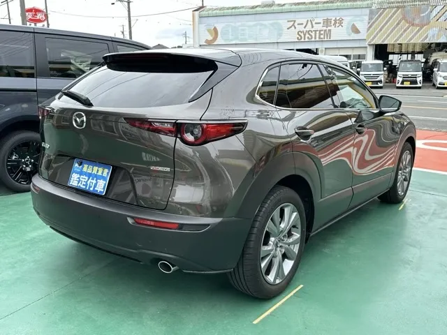 CX-30(マツダ)20S プロアクティブ ツーリングセレクション中古車 11
