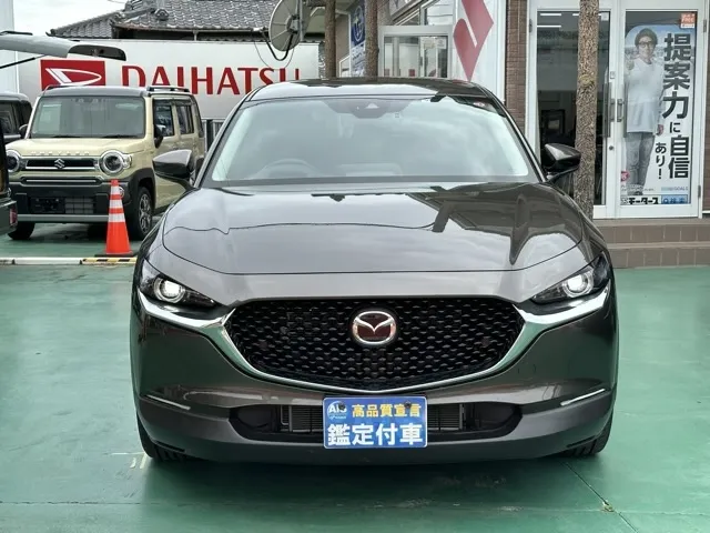 CX-30(マツダ)20S プロアクティブ ツーリングセレクション中古車 28