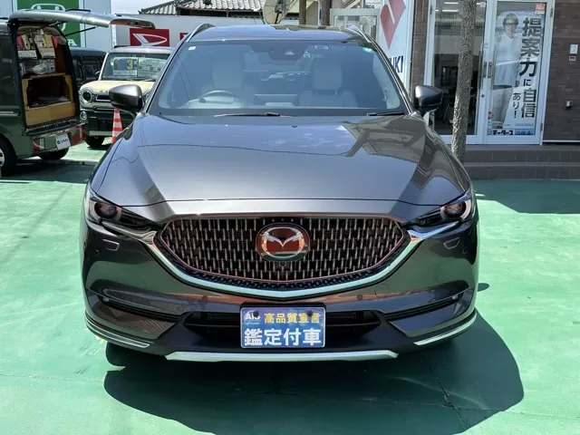 CX-8(マツダ)25T エクスクルーシブモード 4WD中古車 29