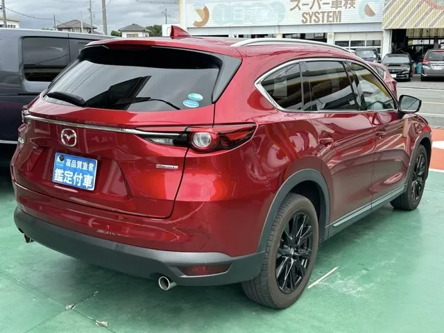 CX-8(マツダ)25S ブラックトーンエディション中古車 12