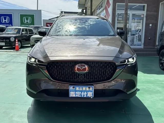 CX-8(マツダ)XD ブラックトーンエディション中古車 29