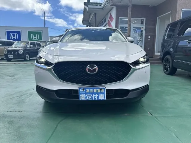 CX-30(マツダ)20S プロアクティブ ツーリングセレクション中古車 29