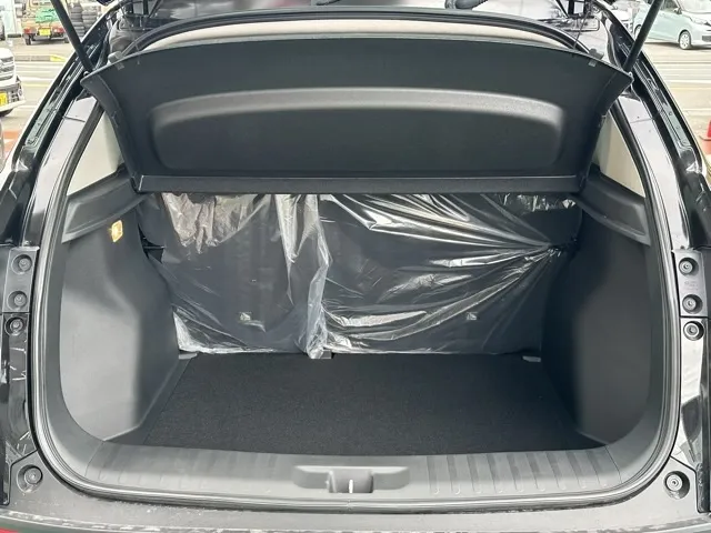 WR-V(ホンダ)Z+登録済未使用車 16