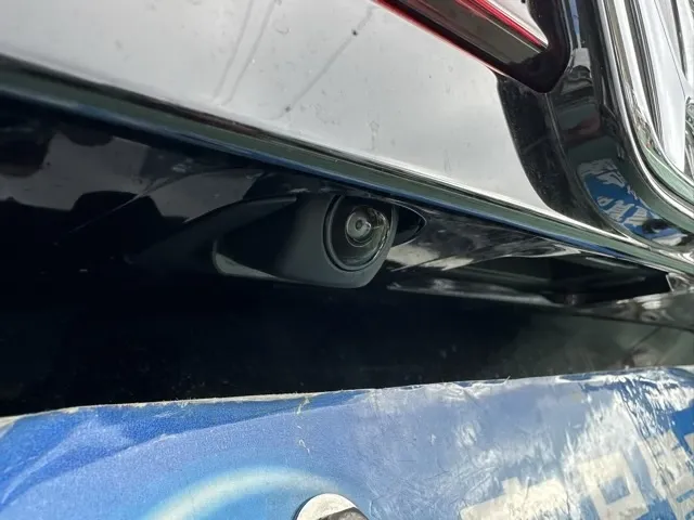 WR-V(ホンダ)Z登録済未使用車 9