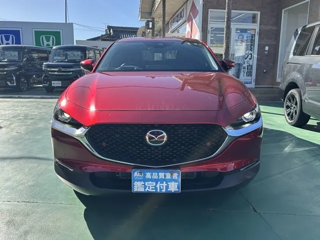 CX-30(マツダ)20S プロアクティブ ツーリングセレクション中古車 29