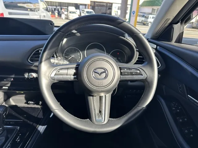 CX-30(マツダ)20S プロアクティブ ツーリングセレクション中古車 6