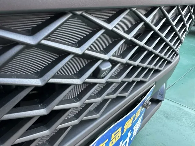ライズ(トヨタ)Ｚ　パノラマナビレディ新車見本展示無 21