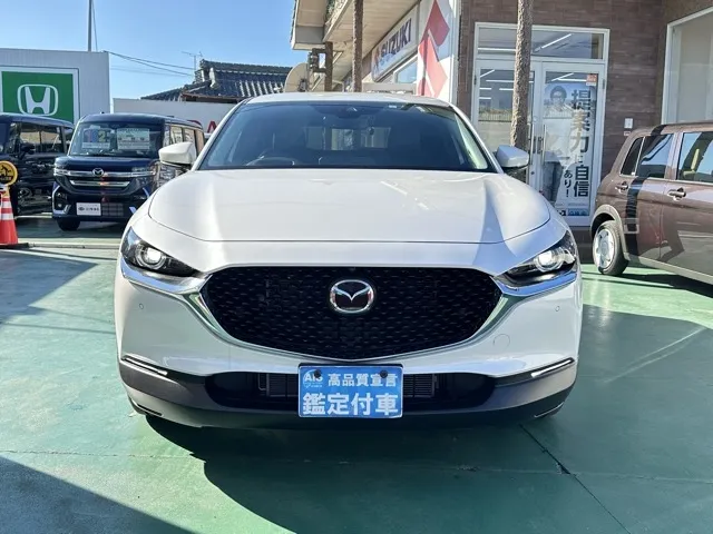 CX-30(マツダ)20S プロアクティブ ツーリングセレクション中古車 29