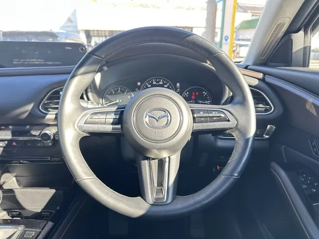 CX-30(マツダ)20S プロアクティブ ツーリングセレクション中古車 6